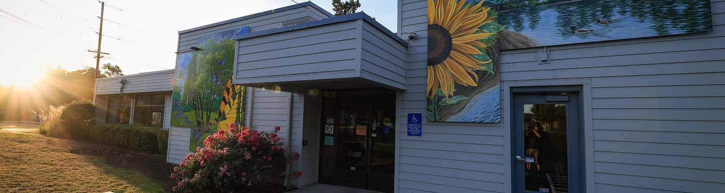 Building in Gladstone with sunflower mural