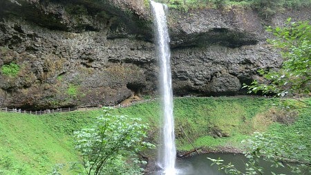 Waterfall pours into body of water surrounded by bright greenery